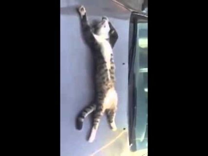 Самое подходящее место в Магадане &laquo; автомагадан