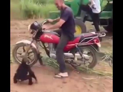 Любитель скорости в Магадане &laquo; автомагадан