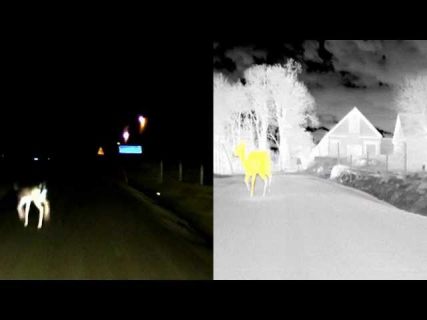 Ночное видение от BMW в Магадане &laquo; автомагадан