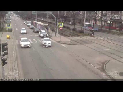 Собака в Магадане &laquo; автомагадан